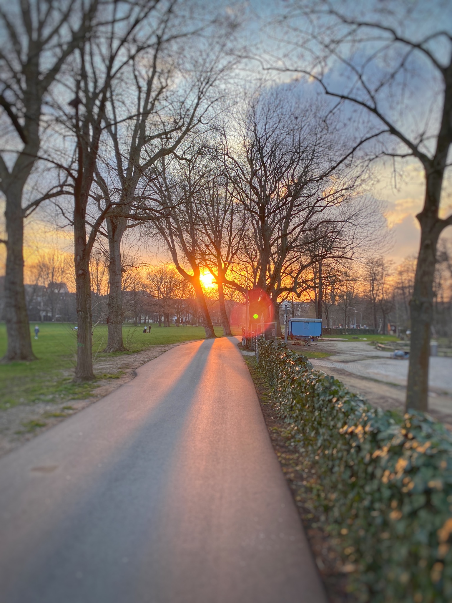 Coronawalk auf der Whörder Wiese in den Abendstunden