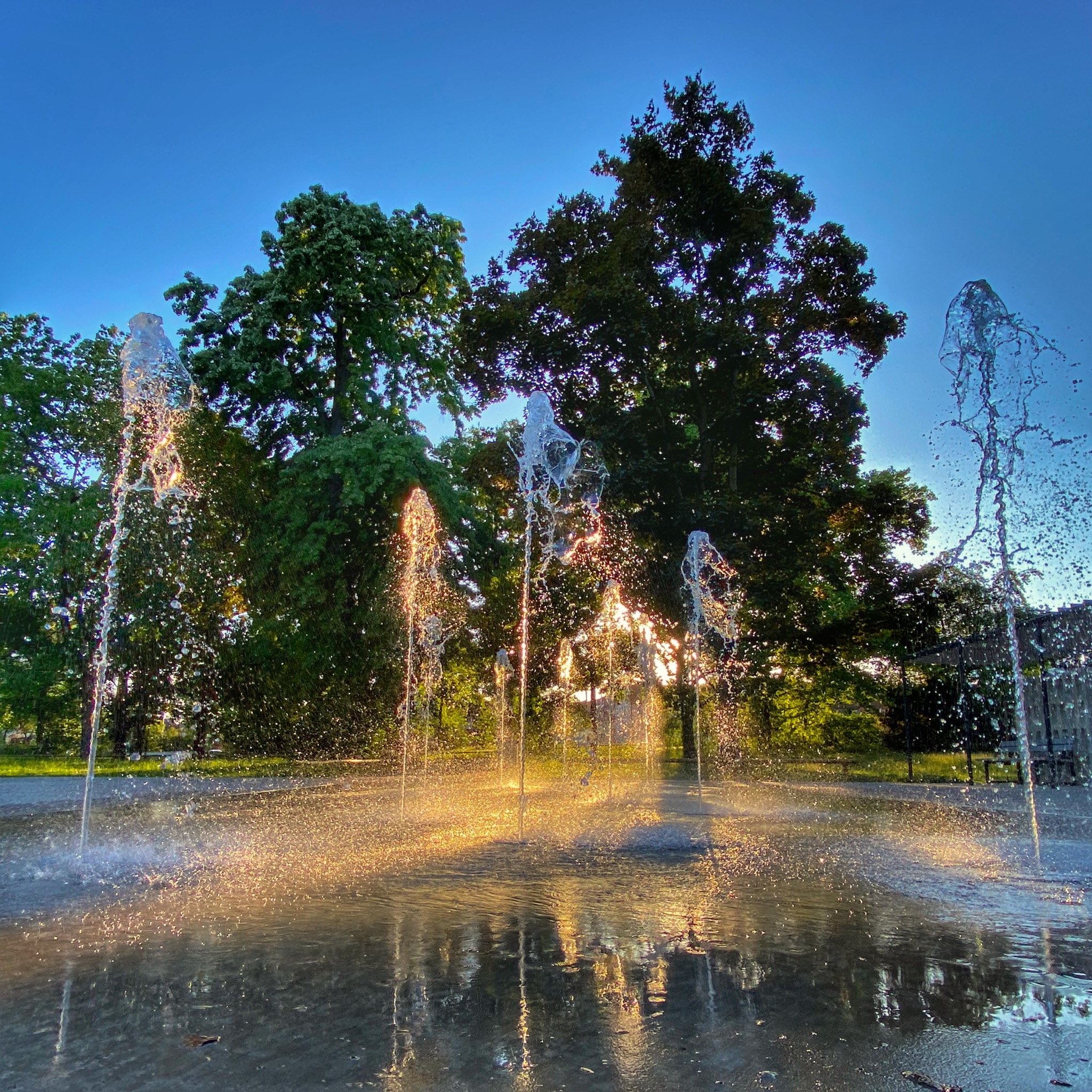 Nasse Abendstimmung im Cramer-Klett Park