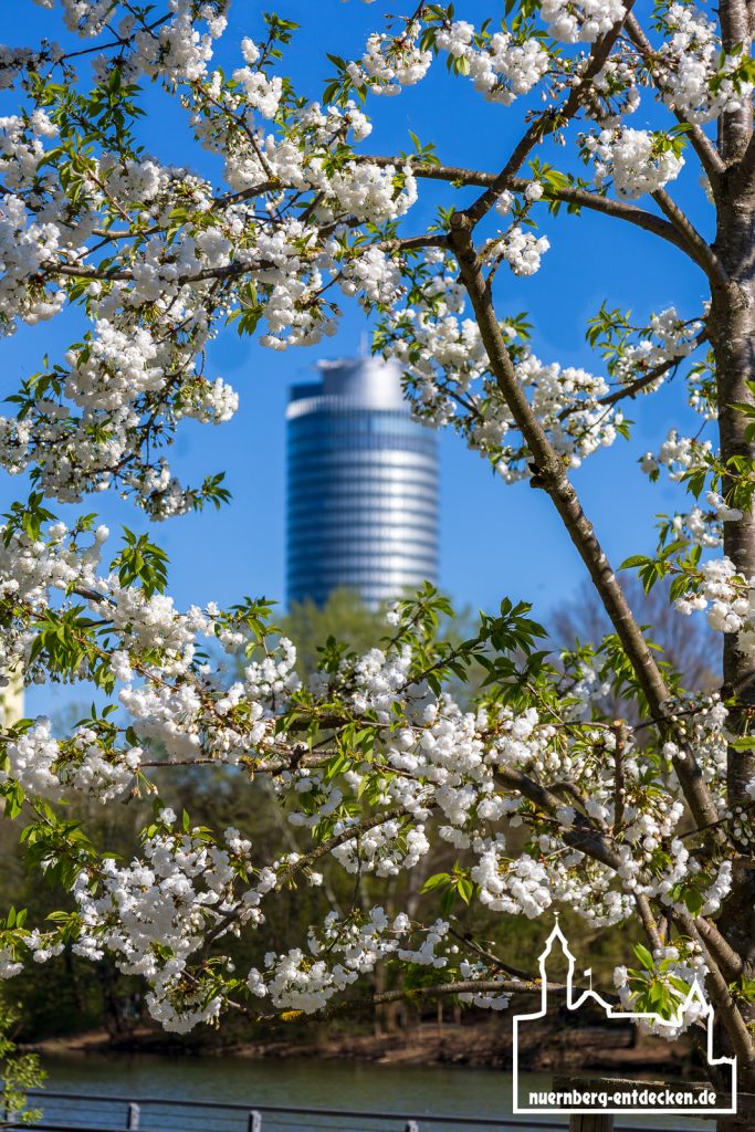 Frühling am Wöhrder See in Nürnberg, Blüten scharf - Foto: Ardan Füßmann