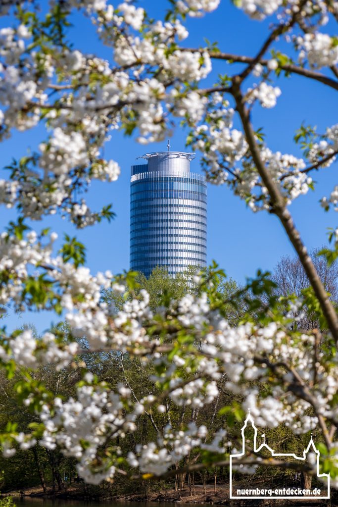 Frühling am Wöhrder See in Nürnberg, Blühten framen den Businesstower Nürnberg - Foto: Ardan Füßmann