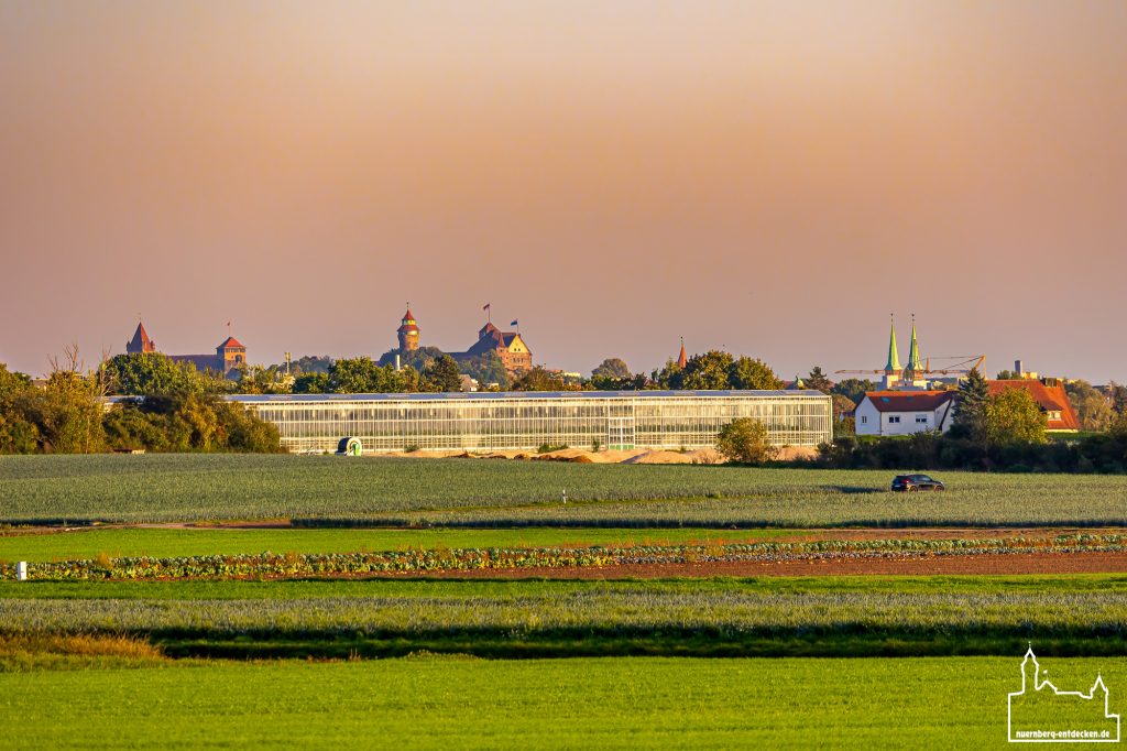 Der Blick aus dem Knoblauchsland auf die Kaiserburg Nürnberg- Foto: Ardan Füßmann