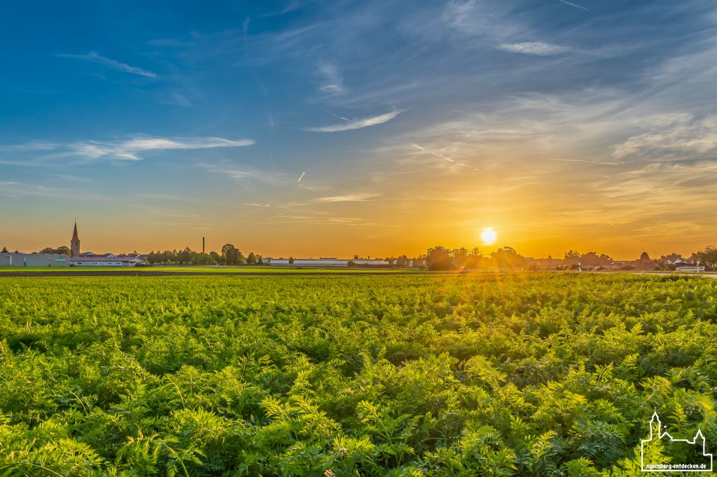 Sonnenuntergang im Oktober 2023 im Knoblauchsland Nürnberg, nähe Höfles - Foto: Ardan Füßmann