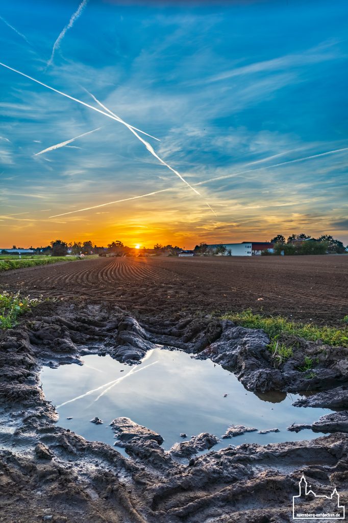 Abendlicher Flugverkehr über den Feldern des Knoblauchsland - Foto: Ardan Füßmann