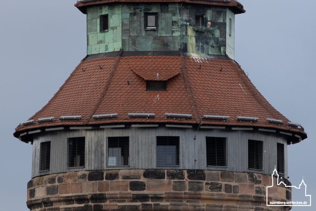 Turmfalke vor seinem Nistplatz auf dem Sinwellturm der Kaiserburg Nürnberg